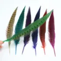 Colorful pheasant tail feathers for DIY craft, stage costume decoration and theatrical use. - Fruit Green