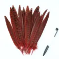 Red black striped pheasant tail feathers for DIY craft, party decoration, stage costume accessories. - Red