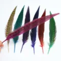 Colorful DIY pheasant tail feathers for craft, theatrical stage costume decoration and hat making. - Rose Red