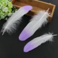 Dual color gradient craft feathers for DIY handmade jewelry accessories and clothing decor. - Light Purple Tip