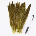 Natural pheasant tail feathers for DIY craft, costume decoration, and stage performance use. - Yellow