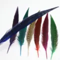 Colorful DIY natural pheasant tail feathers for craft, stage and theatrical costume decoration. - Sapphire Blue