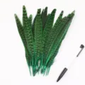 Green dyed pheasant feathers for DIY crafts, fashion accessories, and stage performance decor. - Green