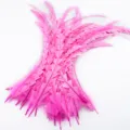 Bright pink trimmed rooster tail feathers for DIY craft, hat, apparel, and clothing accessories. - Pink
