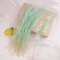 Light green peacock feather plumes for floral arrangement and DIY crafts decor. - Mint Green