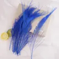 Blue dyed peacock feathers, 25-35cm long, perfect for floral arrangements, crafts, and decor. - Sapphire Blue