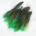 Plumas de gallo verdes naturales 50 pcs para tocado DIY y fabricacion de juguetes de gato. - Verde