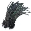 Plumes de coq noires iridescentes, idéales pour les loisirs créatifs et les vêtements. - Noir