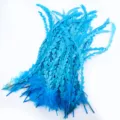 Plumes de coq bleu vif garnies pour bricolage artisanat chapeau vêtement accessoires - Bleu lac