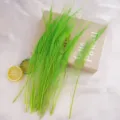 Green peacock sword feather decorative material for floral arrangement and DIY crafts. - Fruit Green