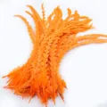 Plumes de queue de coq taillees orange pour accessoires de chapeau et d'artisanat DIY. - Orange