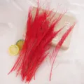 Red dyed peacock feathers for floral arrangement, DIY crafts, home decoration, 25-35cm long. - Red