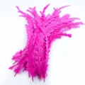 Plumes de queue de coq roses teintes et taillées, idéales pour le bricolage et les chapeaux. - Rose rouge