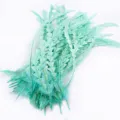 Plumes de Queue de Coq Garnies Turquoise DIY Artisanat Chapeau Vêtements Accessoires. - Cyan Clair