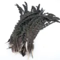 Plumes de queue de coq noires taillées naturelles pour chapeaux et accessoires de DIY - Couleur Naturelle