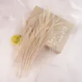 Bleached peacock sword feathers decorative floral arrangement crafting DIY material. - Off White