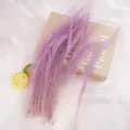 Purple peacock sword feathers for floral arrangement and DIY craft decoration 25-35cm - Light Purple