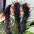 Schwarze Straußenfeder Boa Borte für Kleid Hochzeit Party Kleidung Dekoration Handwerk - 8-10cm Empfohlen 2 Yards / Schwarz