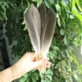 Grey sword feathers goose feathers DIY craft materials feather pen decoration accessories - Natural Color