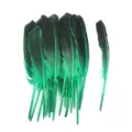 Green craft feathers for DIY jewelry making and decorative art projects, 22-28cm long. - Green