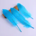 Blaue goldgesprenkelte Federn für DIY-Basteln, Kostümdekoration, Kleidung und Handzubehör. - Gold gesprenkelt (Lake Blue)