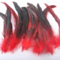 Colorful rooster tail feathers 20-25cm long, perfect for DIY masks, crafts, and party decorations. - Red