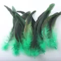 20-25cm colored rooster tail feathers for DIY craft mask headwear wings costume decoration - Grass Green