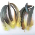 20-25cm natural colorful rooster tail feathers DIY craft mask headwear wings cat toy decor - Yellow