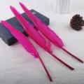 Hot pink craft feathers for DIY jewelry making, quill pens, and wing craft materials. - Rose Red