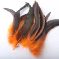 Colored rooster tail feathers 20-25cm long feathers for DIY crafts and costume decoration - Orange