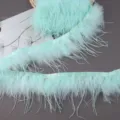 Hellgrüne Straußenfeder Borte Band für DIY Kleidung Handwerk und Bekleidung Dekoration - Hellzyan
