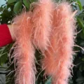 Pink ostrich feather boa trim for clothing crafts decoration fluffy fashion accessory - Champagne (Short Single Layer)