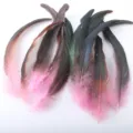 Colorful rooster tail feathers long feathers DIY mask headwear craft 20-25cm decoration item - Pink