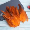 Orange craft feathers pack for DIY accessories, clothing decoration and pet supplies. - Orange