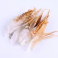 Natural craft feathers for DIY jewelry making dream catcher and clothing decoration - No. 1 Red Luhua Tip (Natural Color)