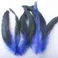 Natural rooster tail feathers blue long craft plumes for DIY masks and costume decoration - Sapphire Blue