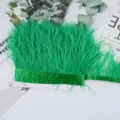 Cinta de flecos de plumas de avestruz verdes DIY vestido de novia accesorio de costura - 07