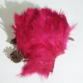 Pink turkey feather trim fringe ribbon DIY sewing craft dance dress costume apparel accessories - Wine Red, 1m