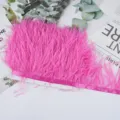 Cinta de ribete de plumas de avestruz rosa flecos de traje DIY para boda vestido - 14
