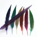 Colorful pheasant tail feathers for DIY crafts, Peking opera stage decor and handmade art. - Deep purple