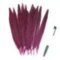 Magentafarbene Fasanenfedern für DIY-Basteln und Bühnenauftritt Dekoration Zubehör. - Fuchsia