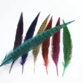 Plumes de queue de faisan colorées pour artisanat DIY, décoration de costumes de théâtre et spectacles. - Bleu lac