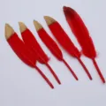 Farbverlauf zweifarbige Gänsefedern DIY Bastelzubehör für handgemachte Dekoration Kunst. - Rot mit goldener Spitze