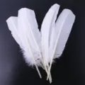 White craft feathers bulk natural quill for DIY archery decor and handmade crafting projects - White