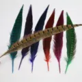 Colorées plumes de faisan pour loisirs créatifs DIY, déco de costume de scène. Matériel naturel teint. - Couleur Naturelle