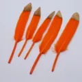 Orangeroter Farbverlauf Goldspitze Gänsefedern DIY Handwerk Zubehör Deko Artikel 5Stk - Orange mit goldenen Spitzen