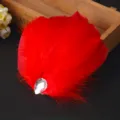 Pince à cheveux en plume rouge avec strass scintillant pour spectacle de danse et accessoires - Rouge