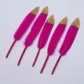 Rosa und gold gefaerbte Gaensefedern fuer DIY Basteln Schmuck Deko, 5 Stueck Stiftstil. - Rosarot mit goldenen Spitzen