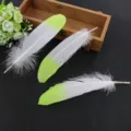 Χειροποίητα φτερά διπλού χρώματος DIY για αξεσουάρ ένδυσης και κατασκευή κοσμημάτων. - Φωσφοριζέ πράσινη μύτη