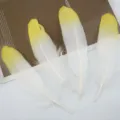 Αξεσουάρ φτερών ντεγραντέ DIY για χειροτεχνίες, διακόσμηση μόδας και ρουχισμού. - Φωσφοριζέ κίτρινη μύτη